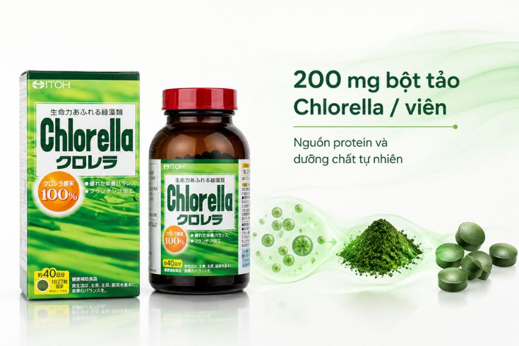 Obot-tao-chlorella-giau-protein-vitamin-va-khoang-chat.jpg